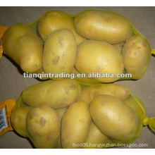 fresh potato supplier